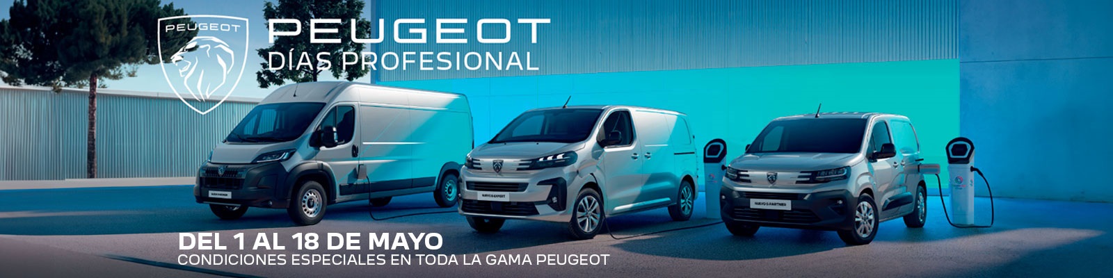 DÍAS PEUGEOT PROFESIONAL